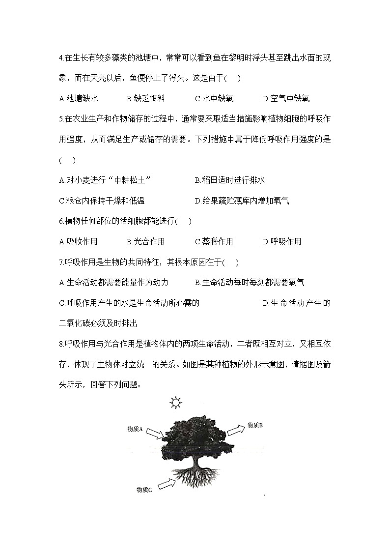 3.5.2绿色植物的呼吸作用（学案）-2022-2023学年人教版生物七年级上册第3页
