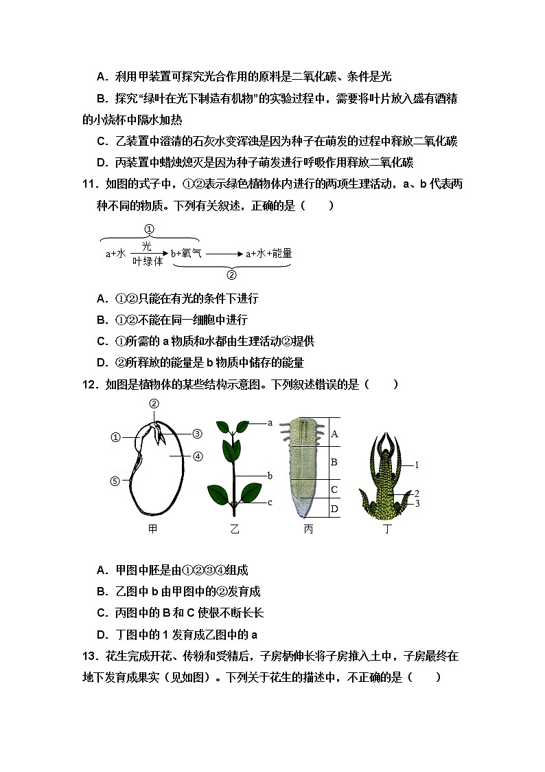 山东省聊城市阳谷县实验中学2022-2023学年七年级上学期第二次月考生物试题(含答案)第3页