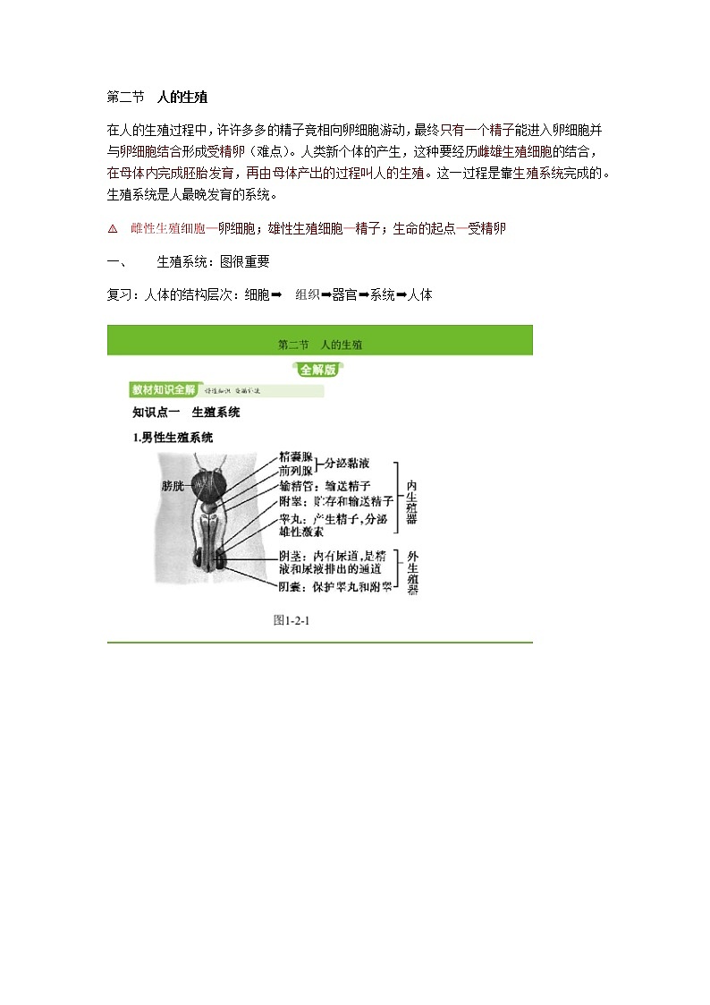 人教版生物七年级下册第四单元第一章第二节《人的生殖》知识点01