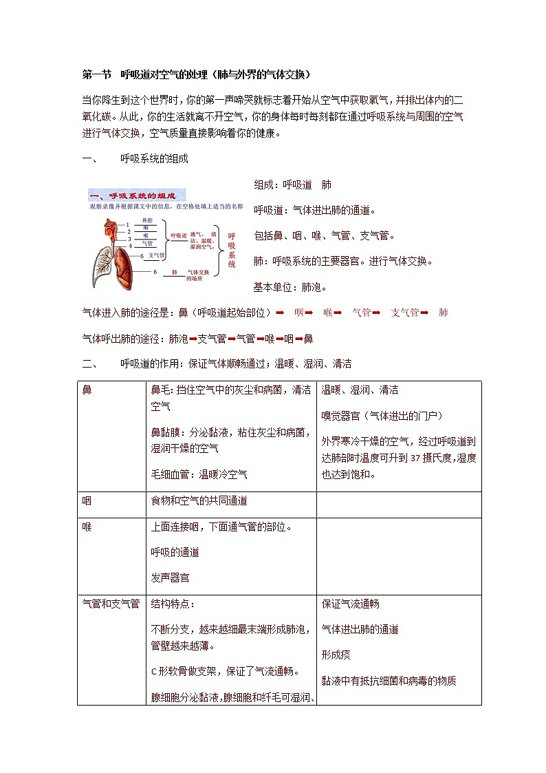 人教版生物七年级下册第四单元第三章第一节《呼吸道对空气的处理》知识点01