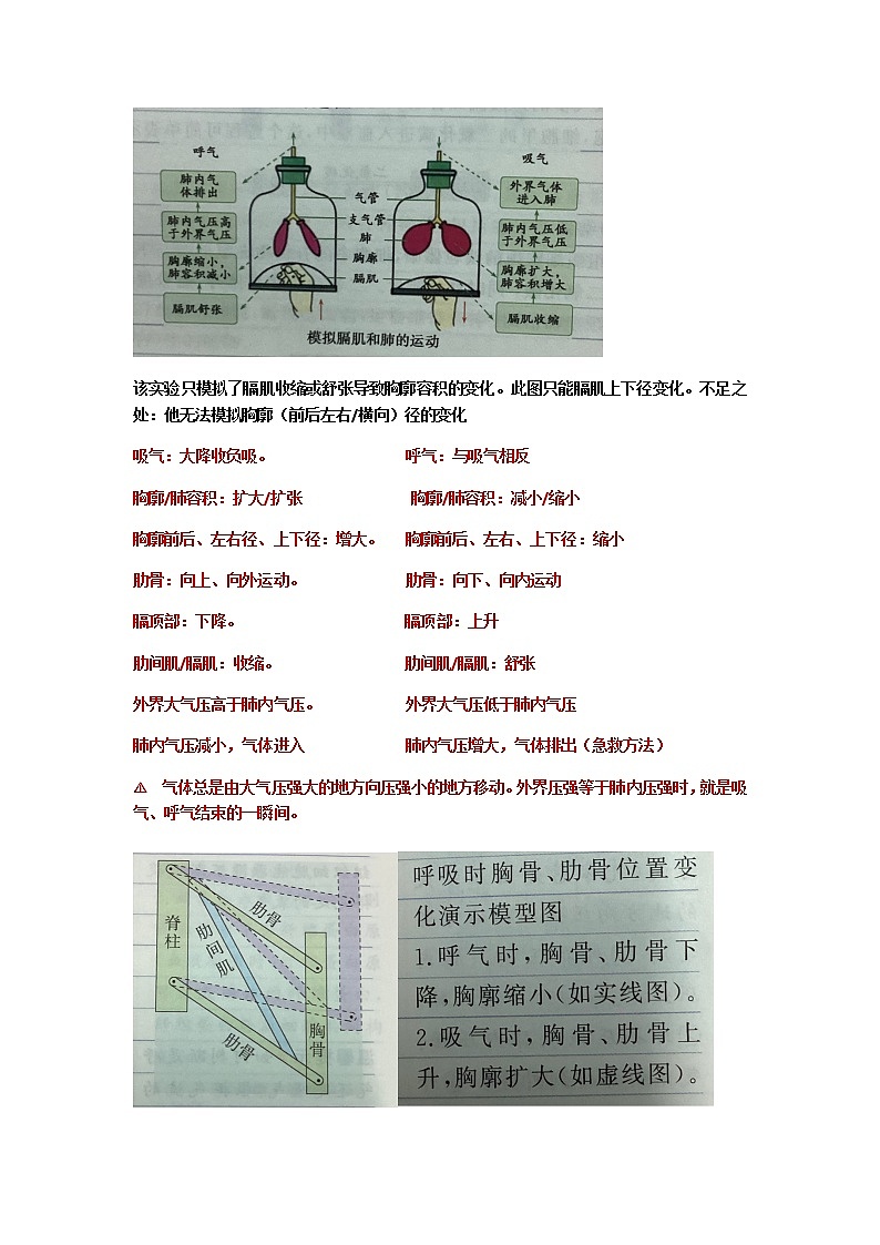 人教版生物七年级下册第四单元第三章第二节《发生在肺内的气体交换》知识点02