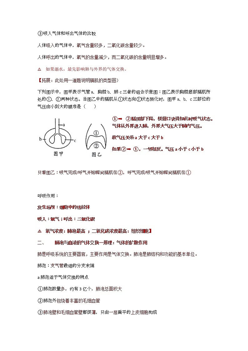 人教版生物七年级下册第四单元第三章第二节《发生在肺内的气体交换》知识点03