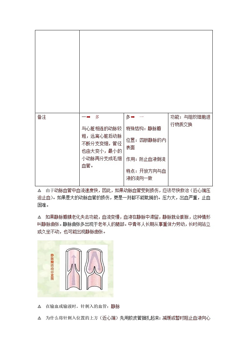 人教版生物七年级下册第四单元第四章第二节《血流的管道—血管》知识点02