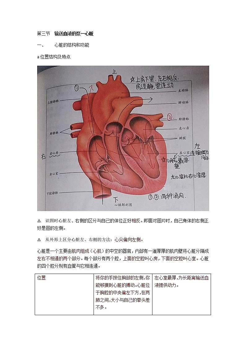 人教版生物七年级下册第四单元第四章第三节《输送血液的泵—心脏》知识点01