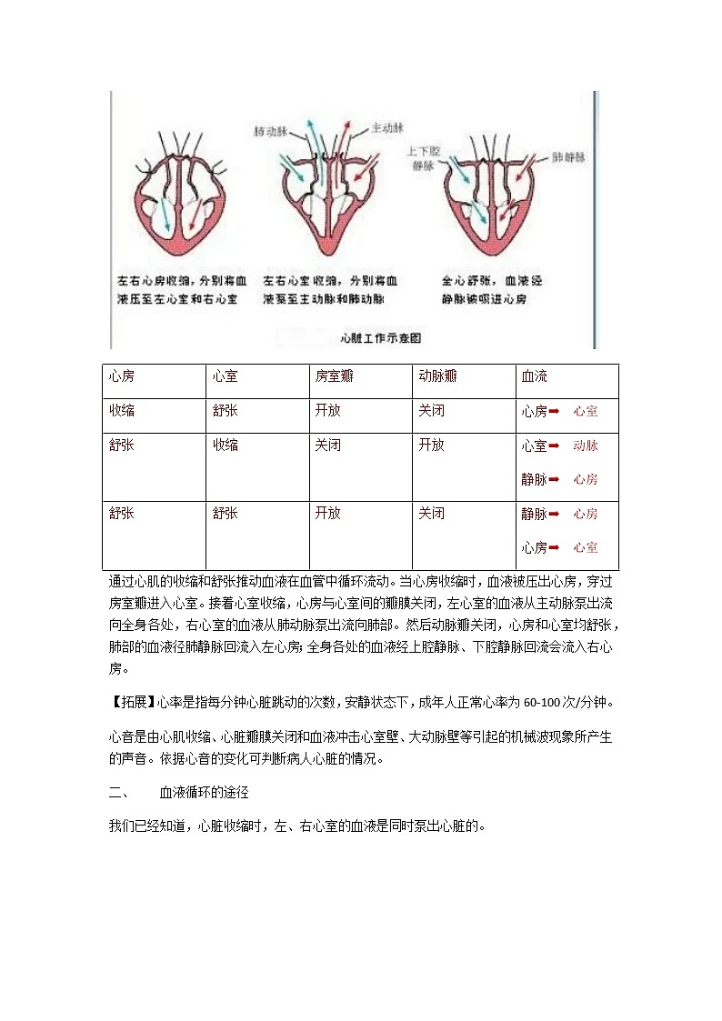 人教版生物七年级下册第四单元第四章第三节《输送血液的泵—心脏》知识点03