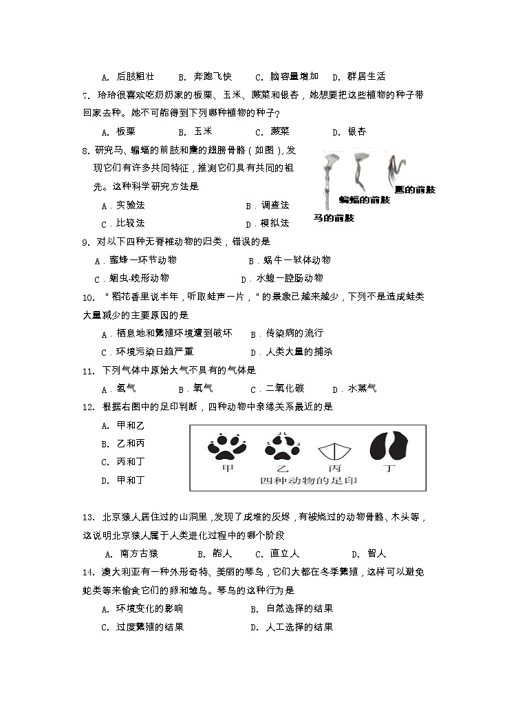 湖南省永州市新田县2020-2021学年八年级上学期期中质量监测生物试题02