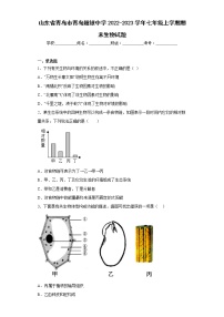 山东省青岛市青岛超银中学2022-2023学年七年级上学期期末生物试题(含答案)