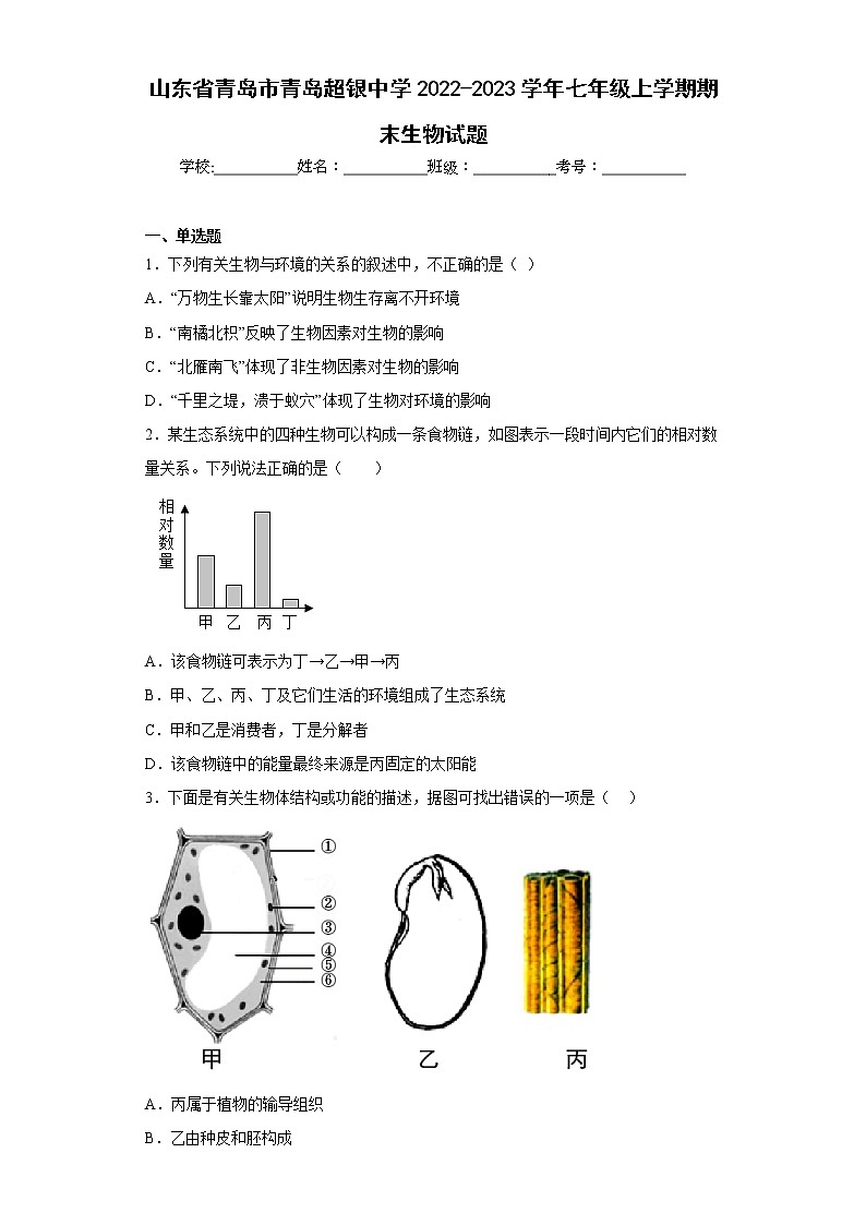 山东省青岛市青岛超银中学2022-2023学年七年级上学期期末生物试题(含答案)第1页