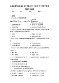 安徽省滁州市定远县育才学校2021-2022学年七年级下学期期末生物试题(含答案)