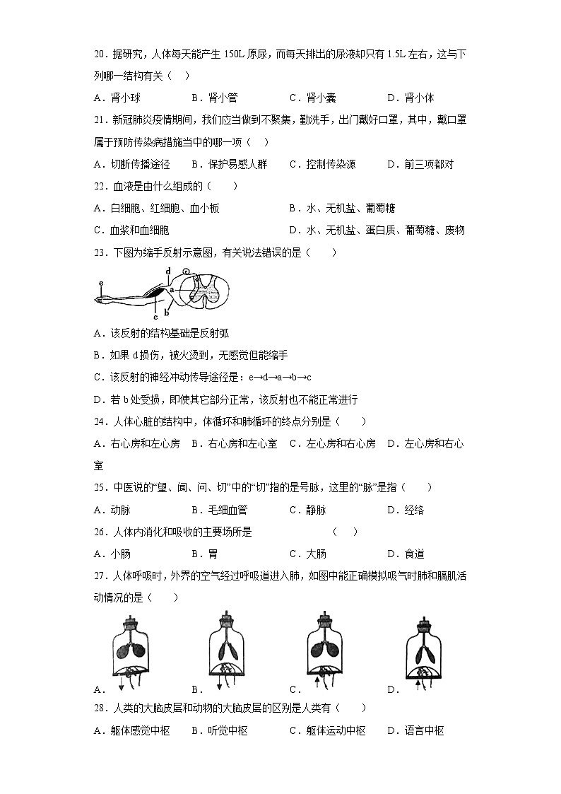 海南省三亚市海南鲁迅中学2021-2022学年七年级下学期期末生物试题(含答案)第3页