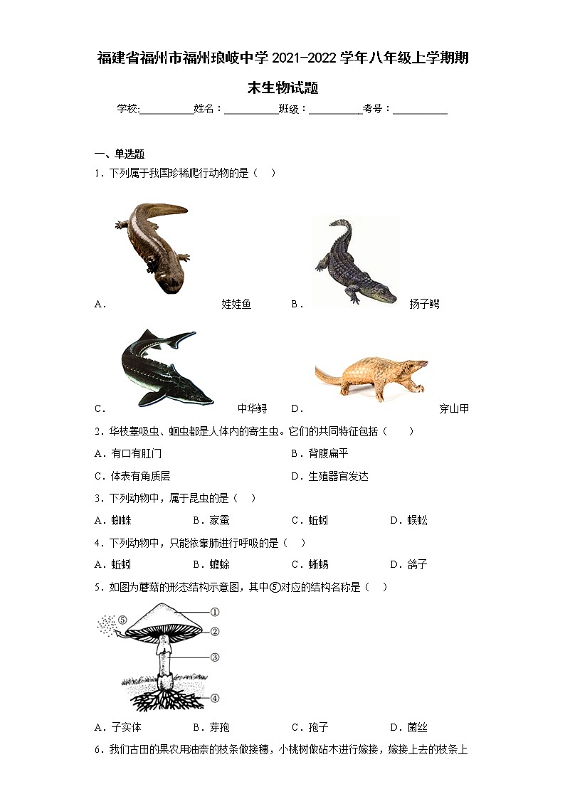 福建省福州市福州琅岐中学2021-2022学年八年级上学期期末生物试题(含答案)第1页