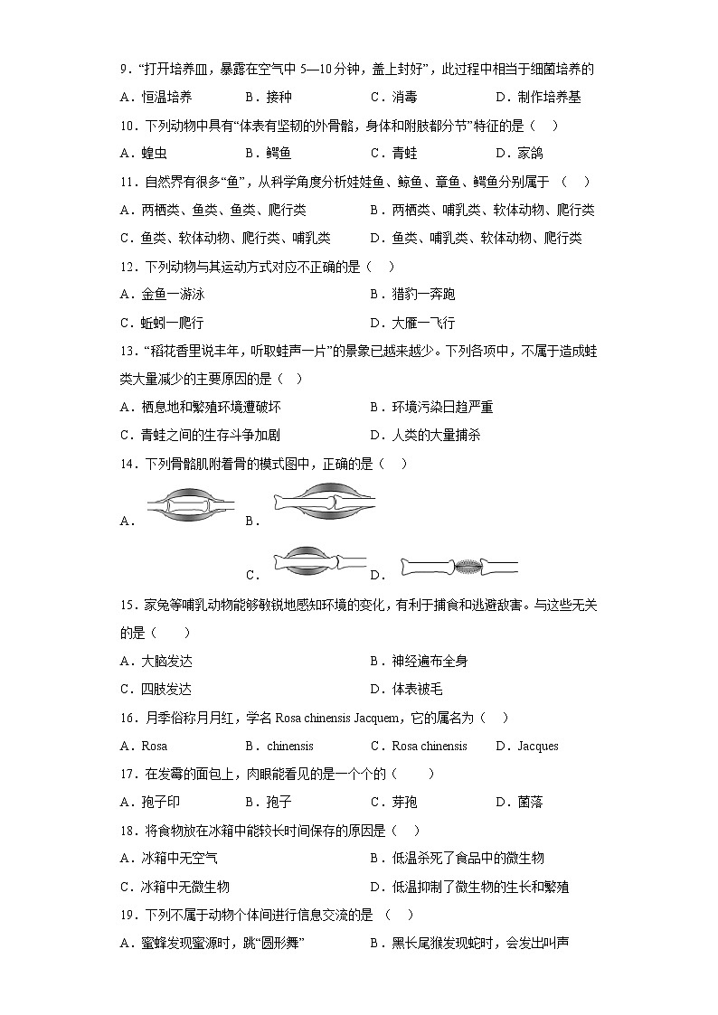 陕西省铜川市铜川阳光中学2021-2022学年八年级上学期期末生物试题(含答案)第2页