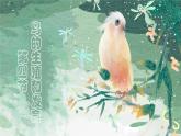 鸟的生殖和发育课件PPT