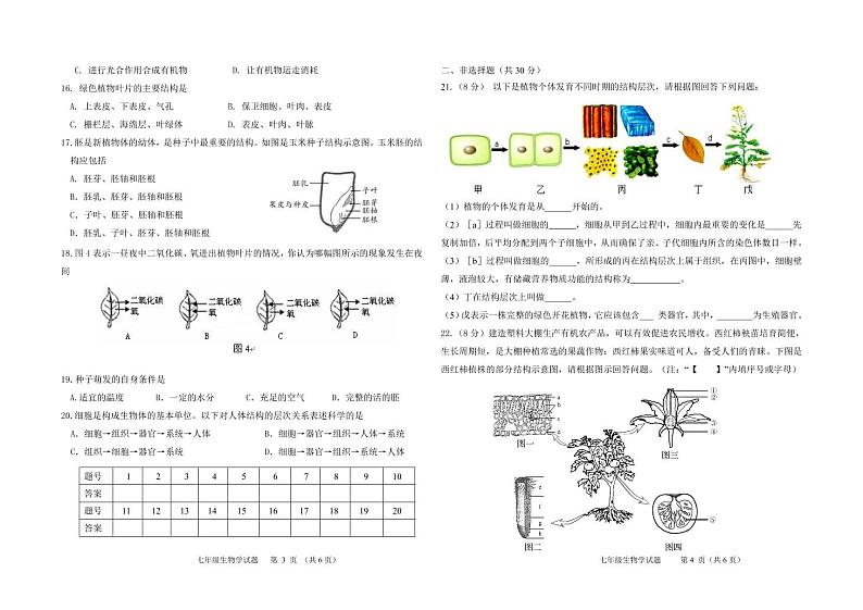 吉林省松原市前郭县2022-2023学年上学期七年级生物期末试卷（PDF版，含答案）02