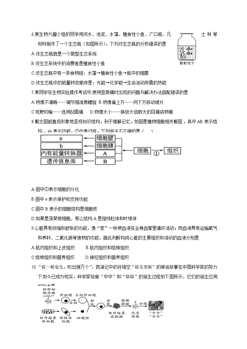 四川省宜宾市第二中学2022-2023学年七年级上学期期末模拟考试生物试题(含答案)第2页