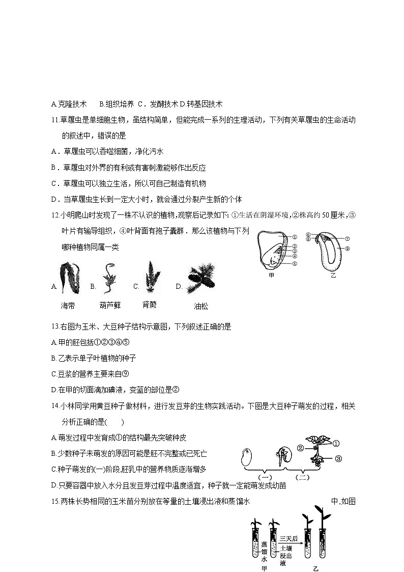 四川省宜宾市第二中学2022-2023学年七年级上学期期末模拟考试生物试题(含答案)第3页