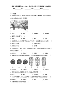 北京市昌平区2022-2023学年七年级上学期期末生物试题(含答案)