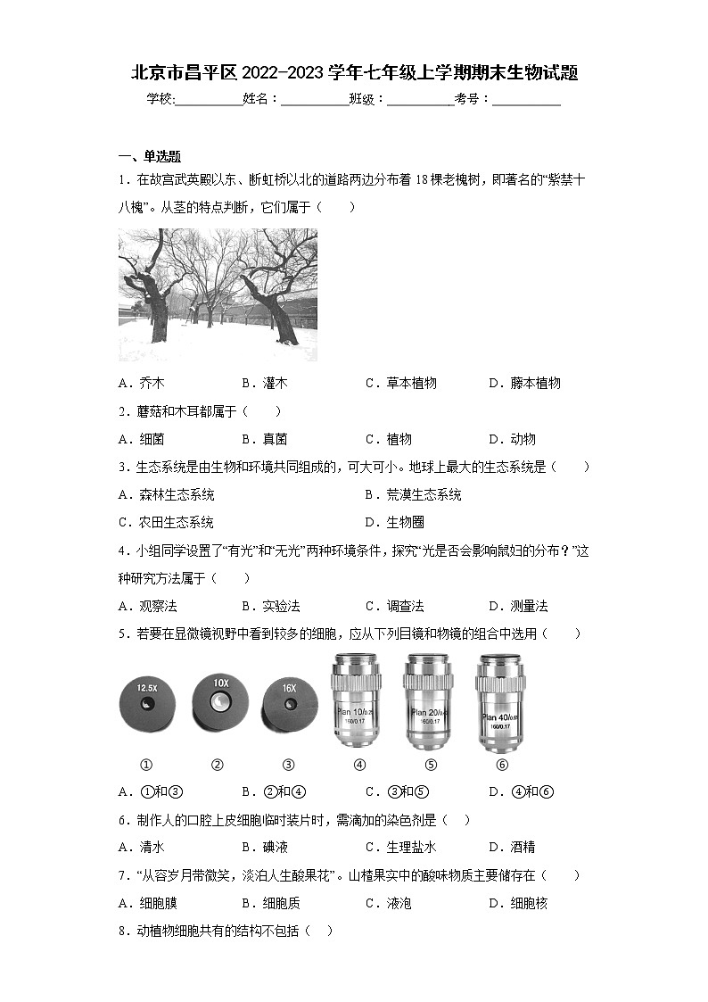 北京市昌平区2022-2023学年七年级上学期期末生物试题(含答案)01