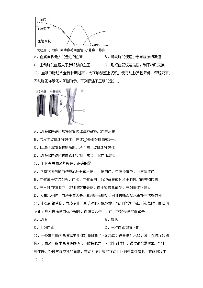 山东省烟台市龙口市2022-2023学年七年级上学期期末生物试题(含答案)03