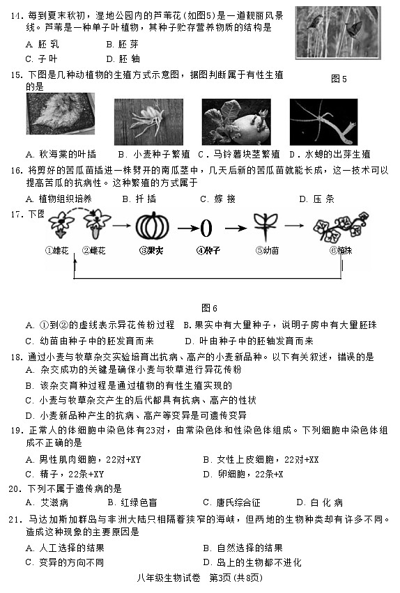 北京市顺义区2022—2023学年八年级上学期期末生物试题03