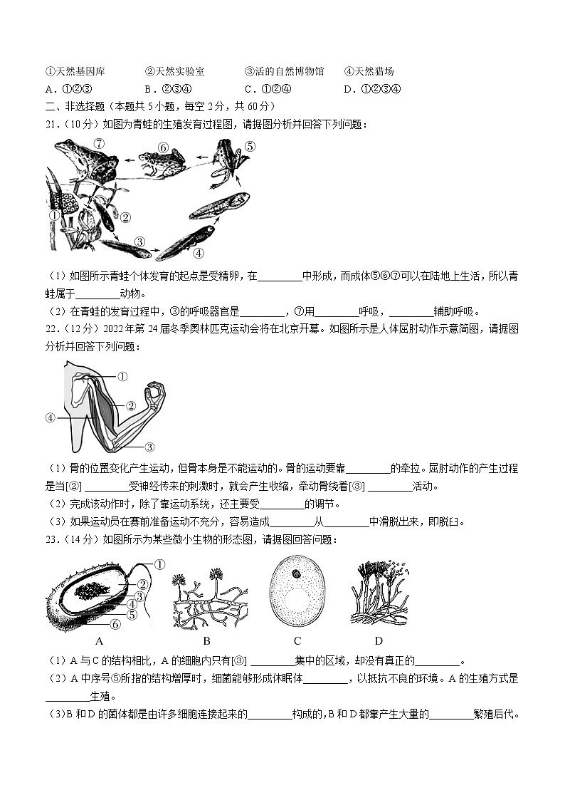 四川省甘孜州康定市2021-2022学年八年级上学期期末生物试题(含答案)03