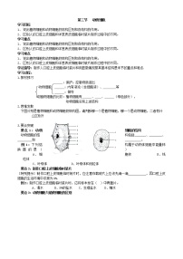 初中生物人教版 (新课标)七年级上册第三节 动物细胞导学案