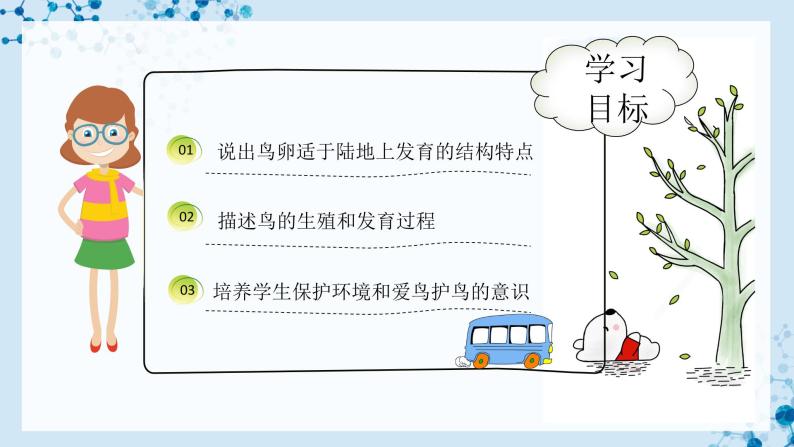 【人教版】八下生物 7.1.4 鸟的生殖和发育（课件+同步练习）02