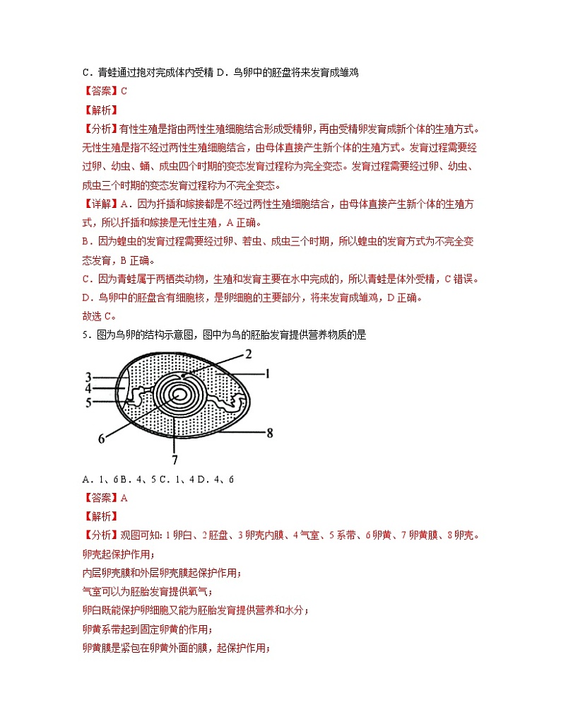 【人教版】八下生物 7.1.4 鸟的生殖和发育（课件+同步练习）03