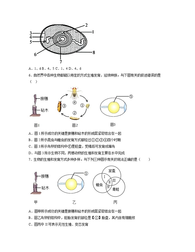 【人教版】八下生物 7.1.4 鸟的生殖和发育（课件+同步练习）02