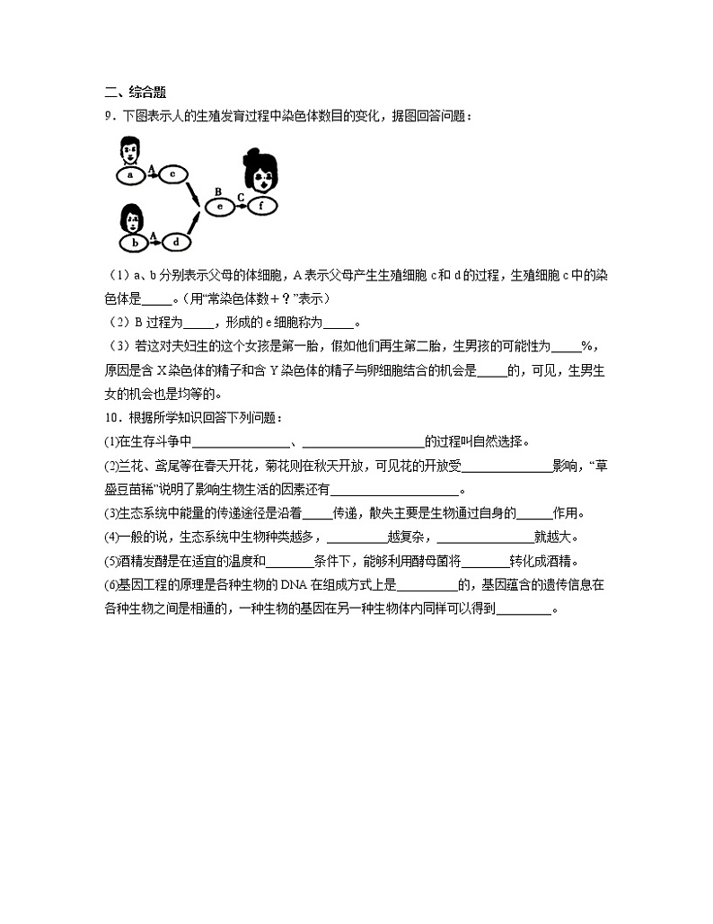 【人教版】八下生物 7.2.1 基因控制生物的性状（课件+同步练习）03