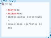 【人教版】八下生物 7.2.1 基因控制生物的性状（课件+同步练习）