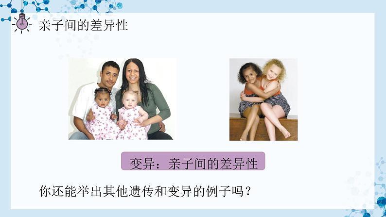 【人教版】八下生物 7.2.1 基因控制生物的性状（课件+同步练习）04