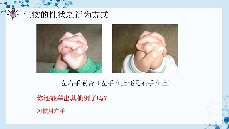 【人教版】八下生物 7.2.1 基因控制生物的性状（课件+同步练习）07