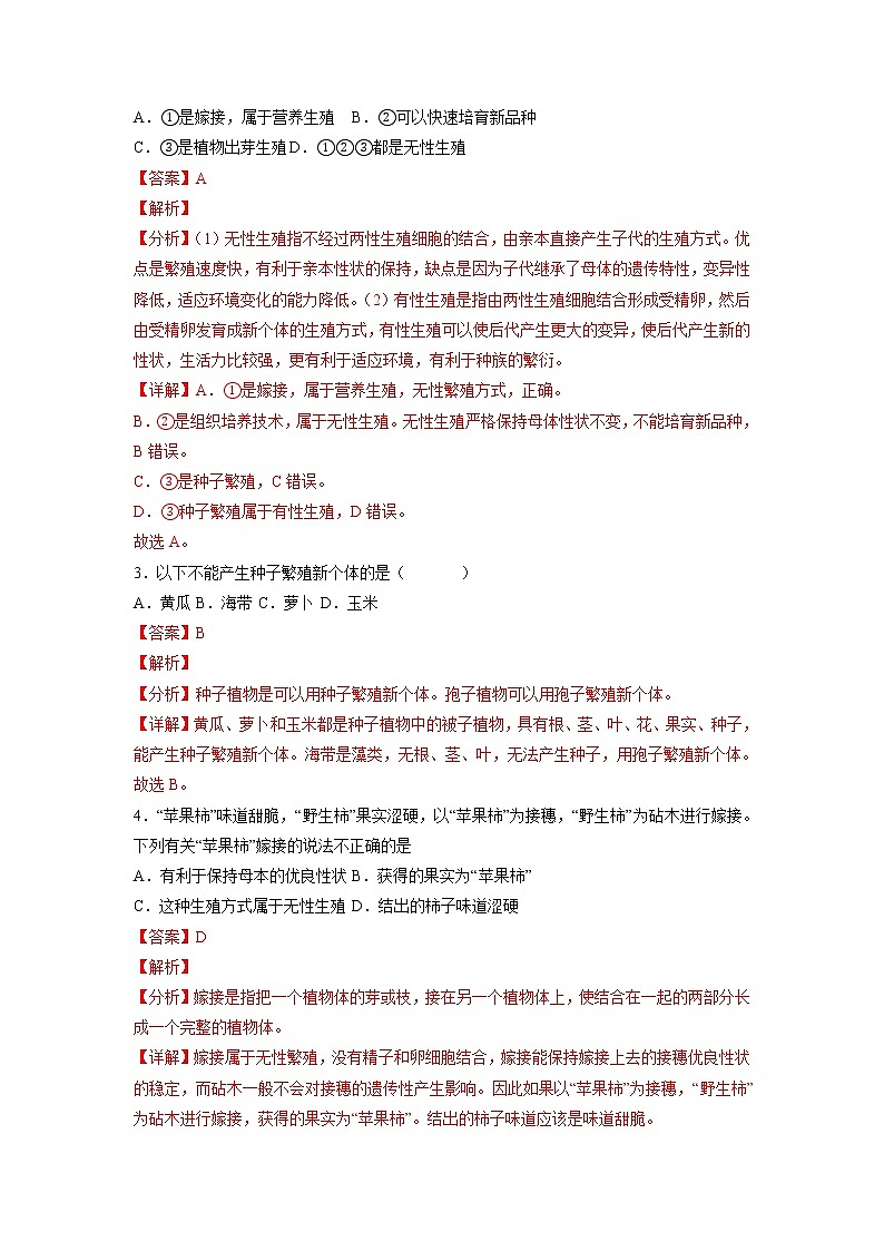 【人教版】八下生物 7.1.1  植物的生殖（课件+同步练习）02