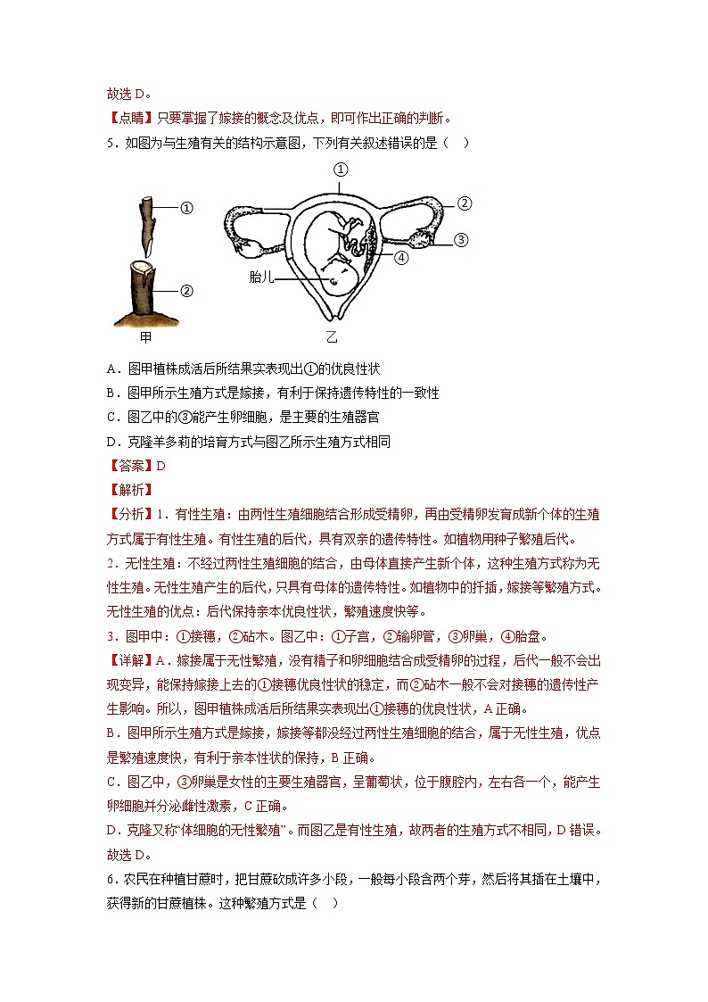 【人教版】八下生物 7.1.1  植物的生殖（课件+同步练习）03