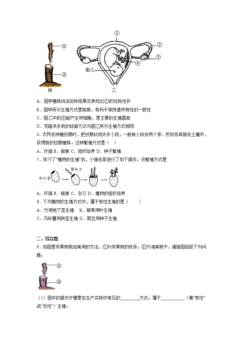 【人教版】八下生物 7.1.1  植物的生殖（课件+同步练习）02