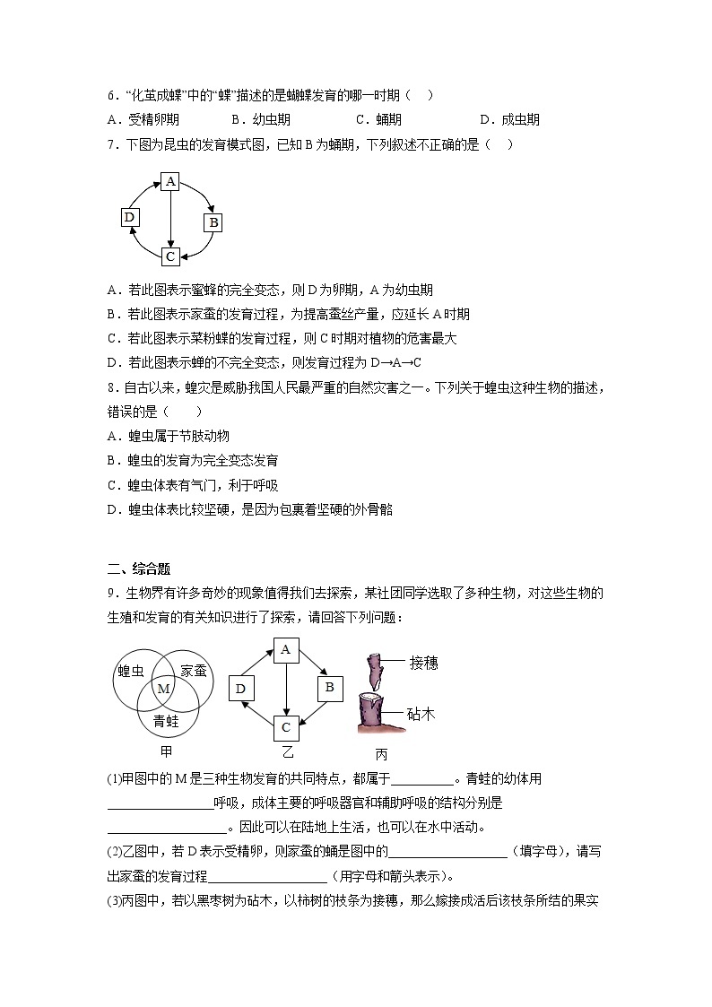 【人教版】八下生物 7.1.2 昆虫的生殖和发育（课件+同步练习）02