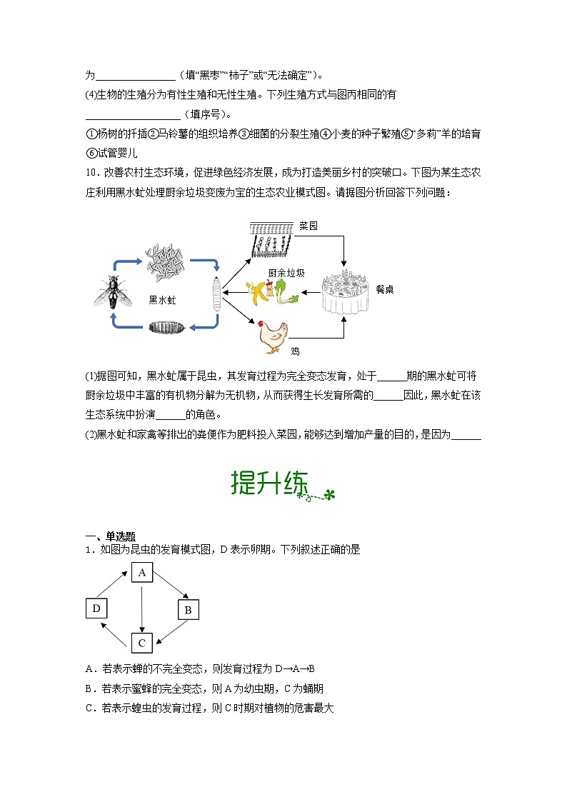 【人教版】八下生物 7.1.2 昆虫的生殖和发育（课件+同步练习）03