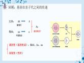 【人教版】八下生物 7.2.3 基因的显性和隐性（课件+同步练习）