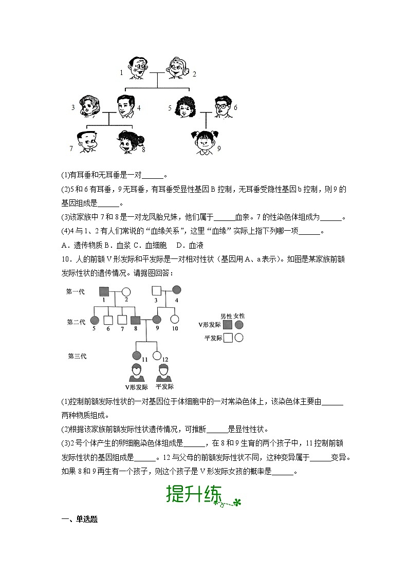 7.2.4 人的性别遗传（分层练）（原卷版)第2页