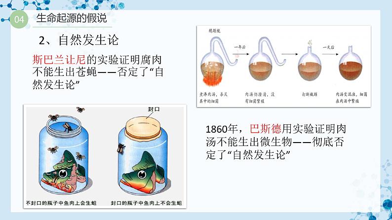 【人教版】八下生物 7.3.1 地球上生命的起源（课件+同步练习）07