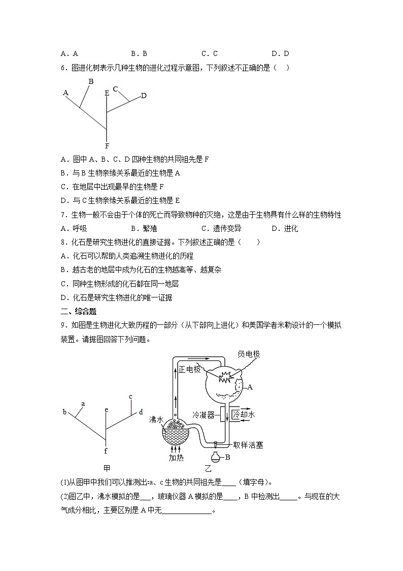 【人教版】八下生物 7.3.2 生物进化的历程（课件+同步练习）02