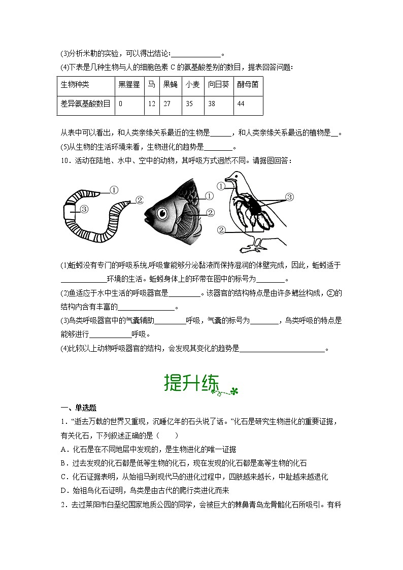 【人教版】八下生物 7.3.2 生物进化的历程（课件+同步练习）03