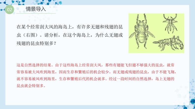 【人教版】八下生物 7.3.3 生物进化的原因（课件+同步练习）03