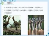 【人教版】八下生物 7.3.3 生物进化的原因（课件+同步练习）