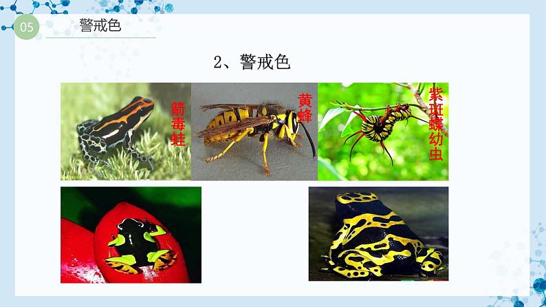 【人教版】八下生物 7.3.3 生物进化的原因（课件+同步练习）08