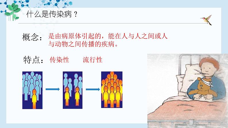 【人教版】八下生物 8.1.1 传染病及其预防（课件+同步练习）05