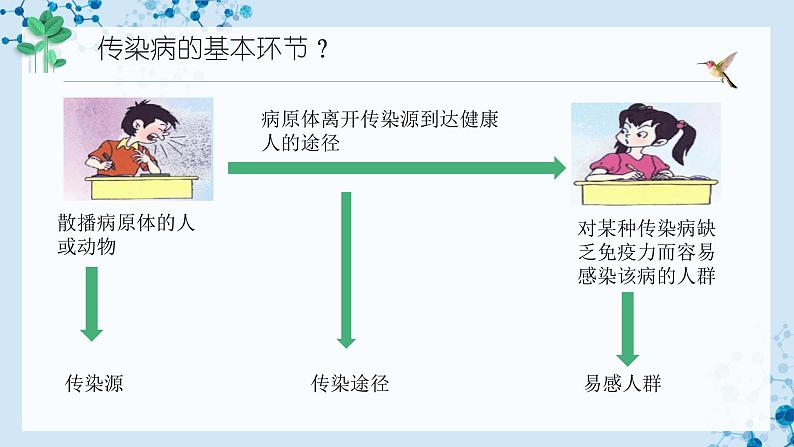 【人教版】八下生物 8.1.1 传染病及其预防（课件+同步练习）07