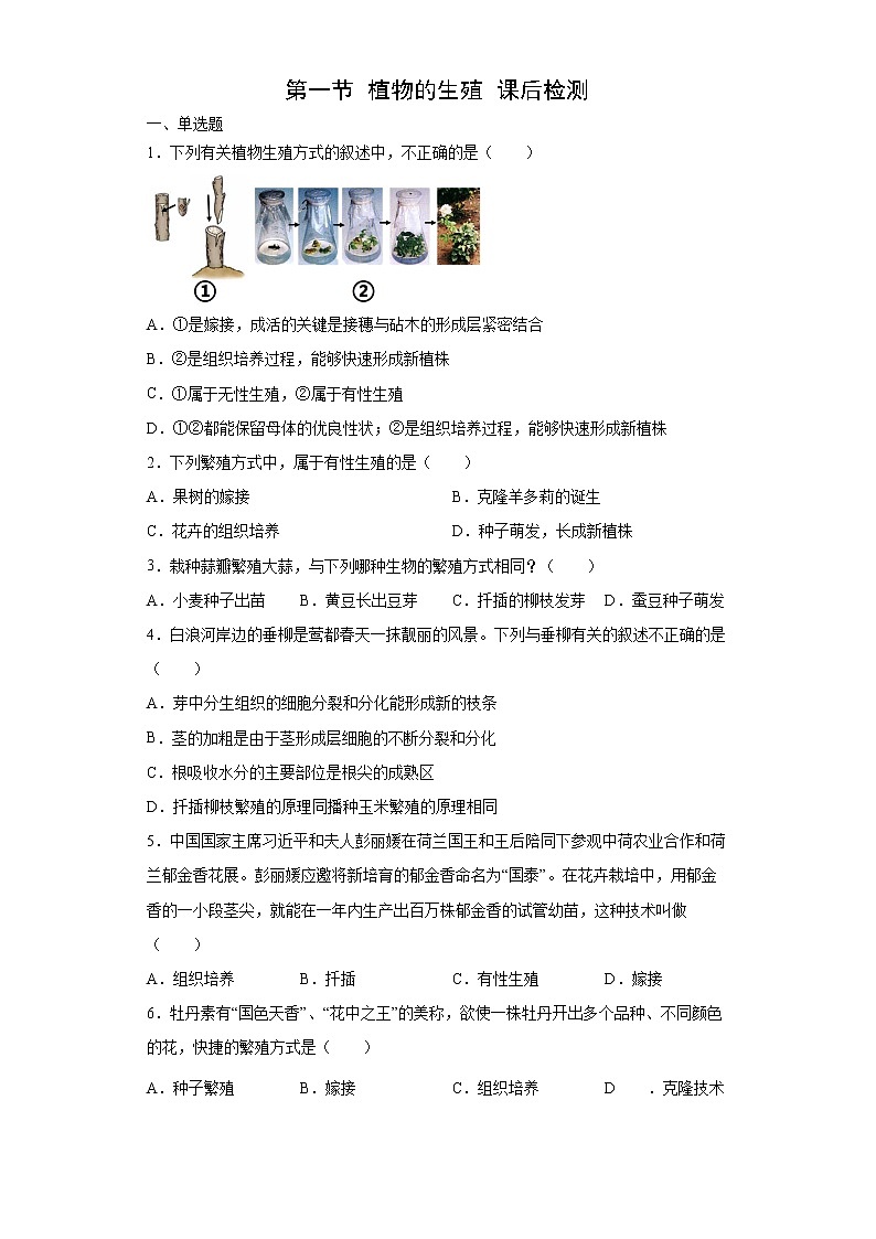 人教版八下生物7.1.1《植物的生殖》课件+同步练习+素材01