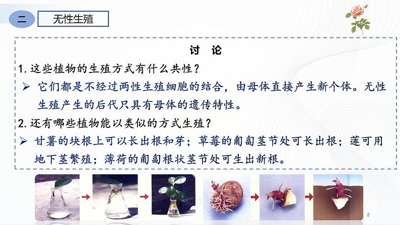 人教版八下生物7.1.1《植物的生殖》课件+同步练习+素材08